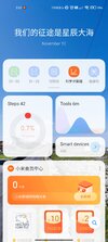 Screenshot_2021-11-12-03-51-19-194_com.miui.home.jpg